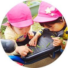 こどもたちの一日